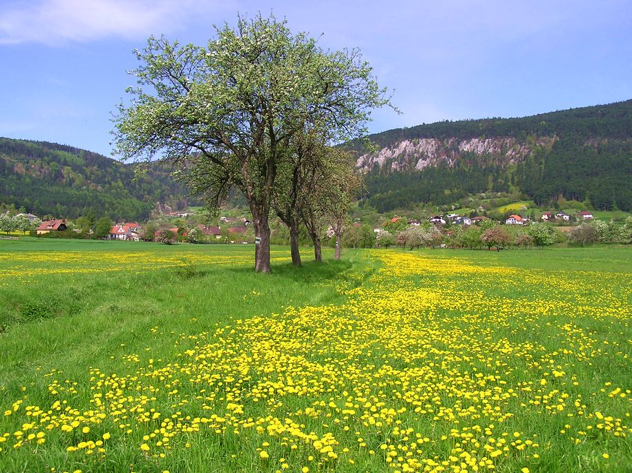 Blick auf Flatz und die Flatzer Wand